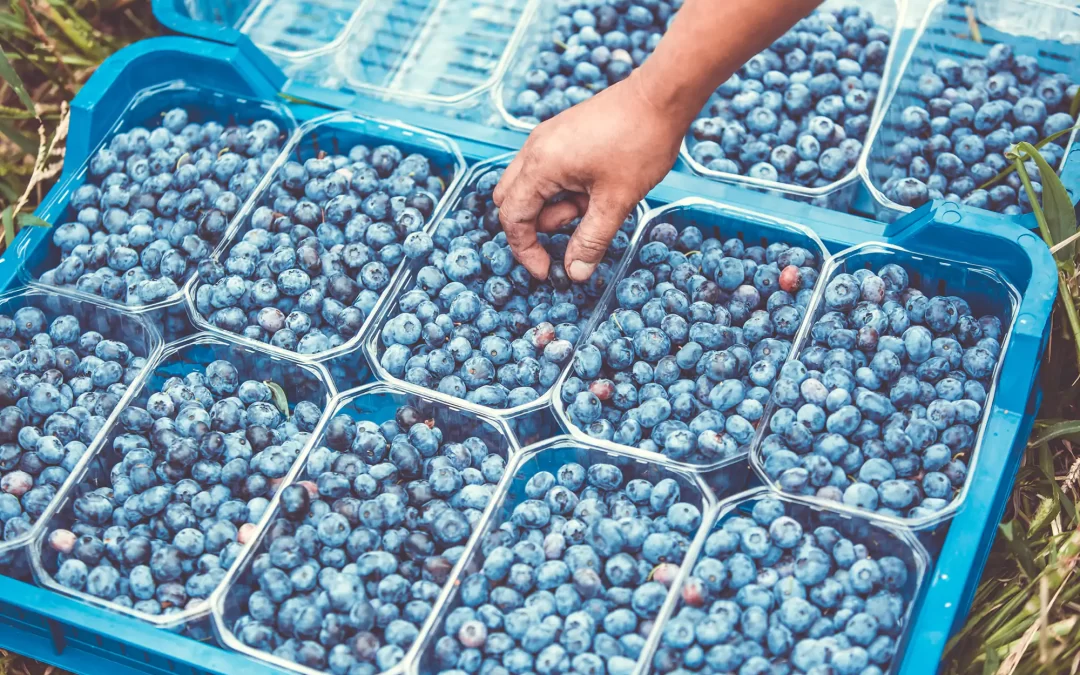 White River: We love local!
